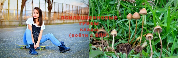 Альфа ПВП Абинск