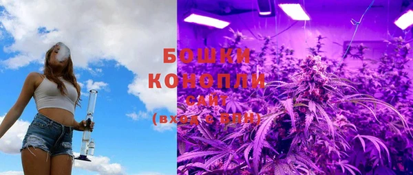 гидра Лагань