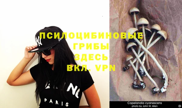 мдпв Абаза